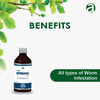 Anuja Wormahal Syrup - 300 Ml