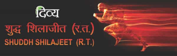 Patanjali Divya Shudh Shilajeet 20 G