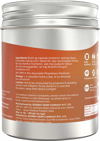 Armor - Immunity Booster Capsules - 60 Capsules