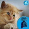 Captain Zack Crochet Jellyfish Cat Toy