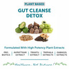 Bliss Welness Gut Detox For Stomach Cleanse, Acidity Removal Supplement|Men And Women-60 Veg Tablets