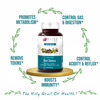 Bliss Welness Gut Detox For Stomach Cleanse, Acidity Removal Supplement|Men And Women-60 Veg Tablets