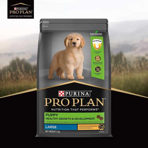 Purina Pro Plan Puppy Kibble Food For Large Sized Dogs | 3Kg Pack