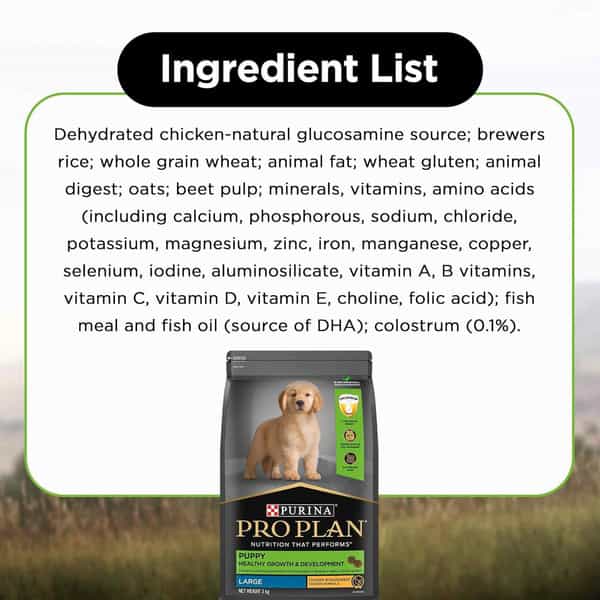 Purina Pro Plan Puppy Kibble Food For Large Sized Dogs | 3Kg Pack