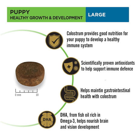 Purina Pro Plan Puppy Kibble Food For Large Sized Dogs | 3kg Pack