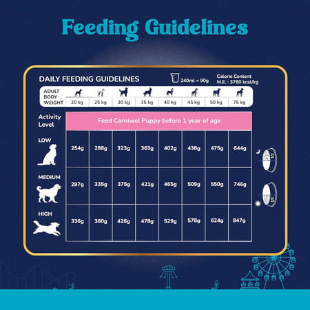Carniwel Fresh Lamb Adult Dry Dog Food 3 Kg | Natural Ingredients Large Dog