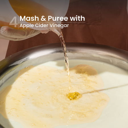 Nat Habit Navdha Natural Shampoo For Women & Men | Strong And Shiny Hair With Curry Cider (250ml)