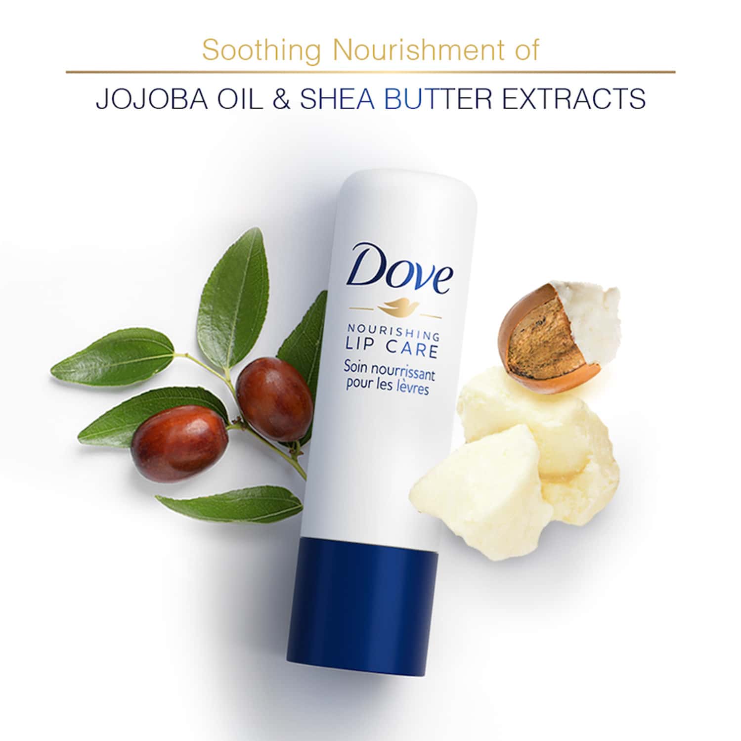 Buy DOVE HYDRO NOURISHING LIP CARE WITH ALOE VERA OIL & VITAMIN E