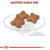 Royal Canin Mini Adult Dog Food | 8 Kg | Dry Food | Supports Weight Management & Digestive Health