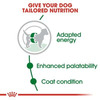 Royal Canin Mini Adult Dog Food | 8 Kg | Dry Food | Supports Weight Management & Digestive Health