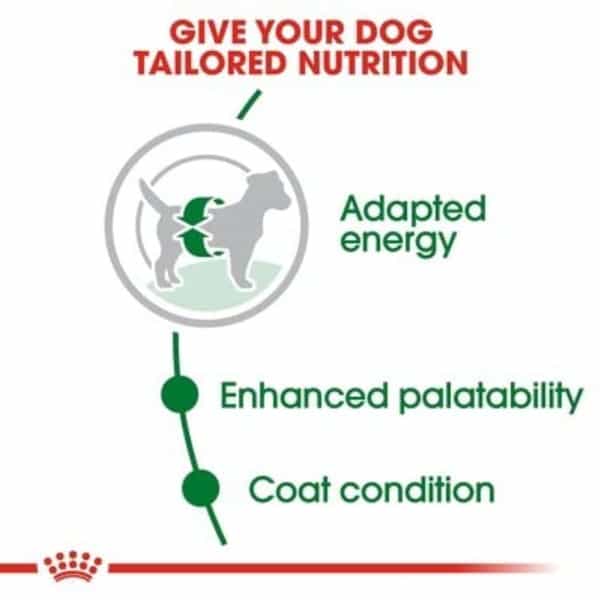 Royal Canin Mini Adult Dog Food | 8 Kg | Dry Food | Supports Weight Management & Digestive Health