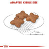 Royal Canin Mini Adult Dog Food | 8 Kg | Dry Food | Supports Weight Management & Digestive Health