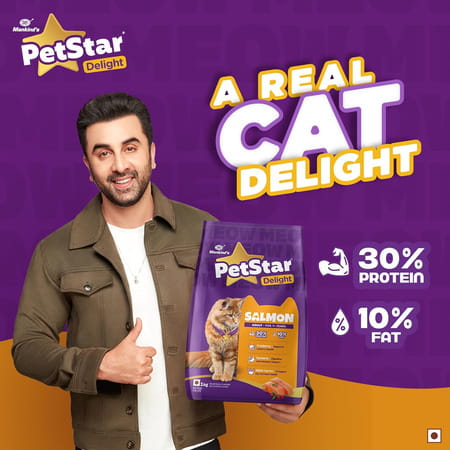 Petstar Adult Cat Food Salmon Flavour (1 Kg)