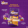Petstar Adult Cat Food Salmon Flavour (1 Kg)