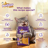 Petstar Adult Cat Food Salmon Flavour (1 Kg)