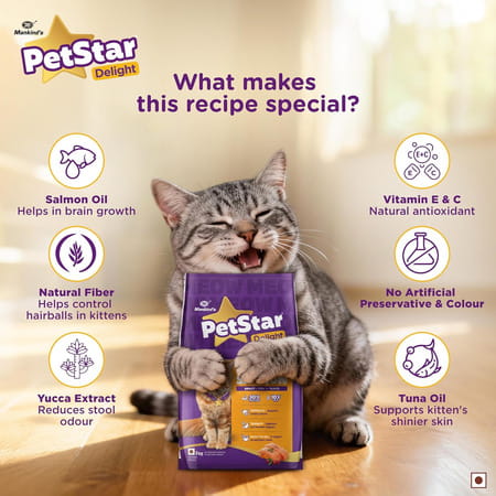 Petstar Adult Cat Food Salmon Flavour (1 Kg)