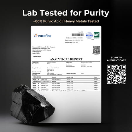 Nutrabay Pure Shilajit I Filtered Resin From High-Altitude Himalayas 20gm