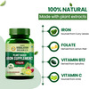 Vlado's Himalayan Organics Plant Based Iron Supplement With Folate - 90 Veg Capsules