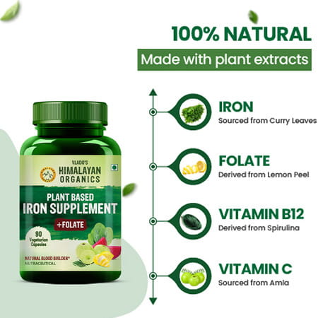 Vlado'S Himalayan Organics Plant Based Iron Supplement With Folate - 90 Veg Capsules