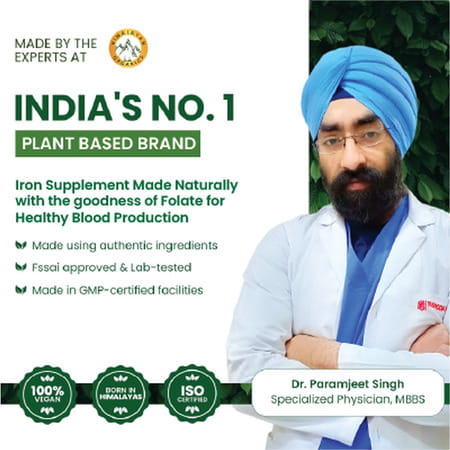 Vlado'S Himalayan Organics Plant Based Iron Supplement With Folate - 90 Veg Capsules