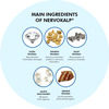 Pravek Nervokalp Strip Of 5 Capsules