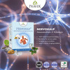 Pravek Nervokalp Strip Of 5 Capsules
