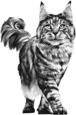 View product image 6