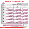 Royal Canin Renal With Chicken | 85 G (12 Pieces) | Adult | Granule