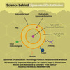 Wishnew Wellness Liposomal Glutathione: Maximized Absorption For Superior Antioxidant Protection