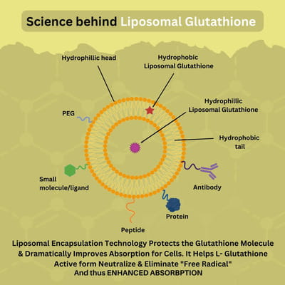 Buy WISHNEW WELLNESS LIPOSOMAL GLUTATHIONE: MAXIMIZED ABSORPTION FOR SUPERIOR ANTIOXIDANT PROTECTION Online & Get Upto 60% OFF at PharmEasy