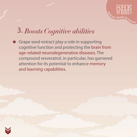 Sheneed Womens Brain & Memory Supports Supplement - 60 Capsules