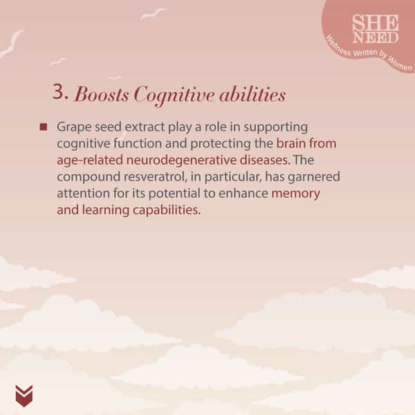 Sheneed Womens Brain & Memory Supports Supplement - 60 Capsules