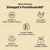 Sheopals Prostguardd Support Tablets For Men | Ayurvedic Urinary Wellness Supplement | 60 Pcs
