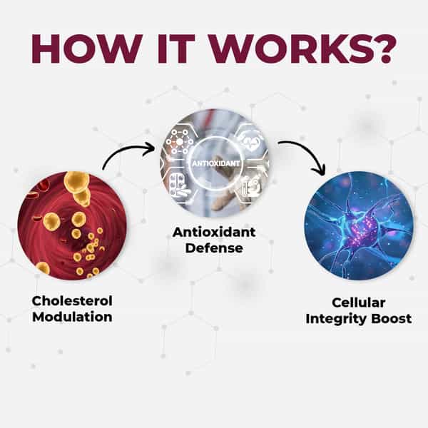 Muditam Heart Defend Pro - Shielding Hearts | Balancing Cholesterol- 120 Tablets