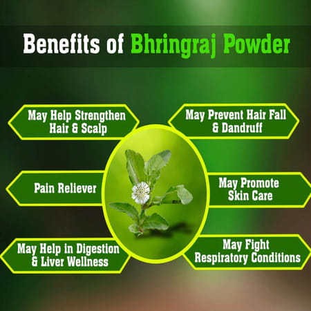 Way2herbal Organic Bhringraj Powder For Hair 200 G