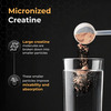 Nutrabay Gold Micronised Creatine Monohydrate Powder | Nabl Lab Tested | 3G/Serving - 120G (Cola)