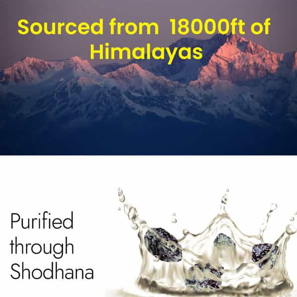 Cipzer Royal Shilajit Black Gold Resin 20G Pure Himalayan Shilajit For Sexual Stamina & Gym Power