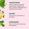 Akiva Love Wellness Shots With Wheatgrass Lemon & Coriander (15 Shots X 40Ml) - 600Ml