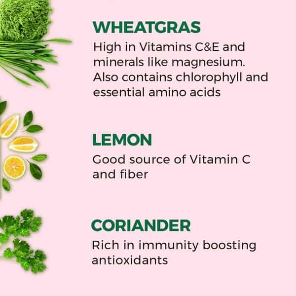 Akiva Love Wellness Shots With Wheatgrass Lemon & Coriander (15 Shots X 40Ml) - 600Ml