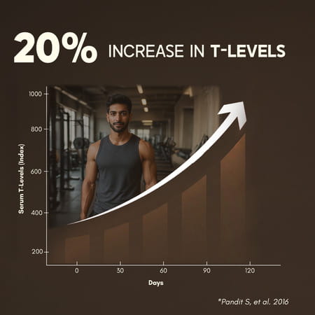 Rasayanam Testoboost For Men | Shilajit | Ashwagandha & Safed Musli (60 Capsules | Pack Of 1)