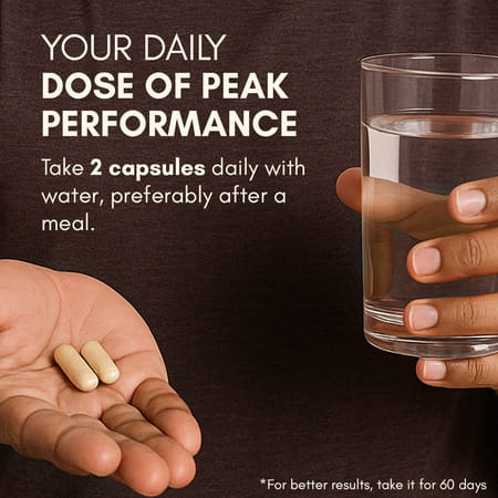 Rasayanam Testoboost For Men | Shilajit | Ashwagandha & Safed Musli (60 Capsules | Pack Of 1)