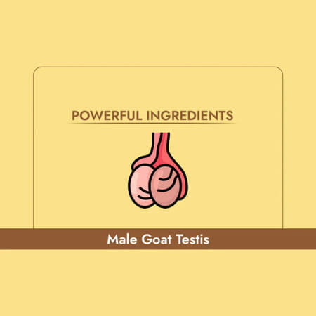 Cipzer Jawahar E Khusia | Boost Stamina | Strength & Sexual Vitality | 30 Capsules For Men