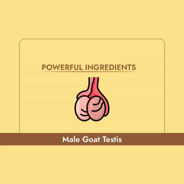 Cipzer Jawahar E Khusia | Boost Stamina | Strength & Sexual Vitality | 30 Capsules For Men