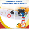 Lizol Power Kitchen Cleaner Bottle Of 250 Ml