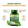 Vlado's Himalayan Organics Ginkgo Biloba For Healthy Brain Functions | 500Mg | 60 Veg Capsules