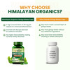 Vlado's Himalayan Organics Ginkgo Biloba For Healthy Brain Functions | 500Mg | 60 Veg Capsules