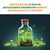 Vlado's Himalayan Organics Ginkgo Biloba For Healthy Brain Functions | 500Mg | 60 Veg Capsules