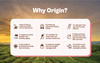 Origin Nutrition 100% Natural Plant Protein Powder 830g Strawberry With 25g Plant Based Protein
