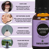 Earth N Pure Rose & Tea Tree Essential Oils | Pack Of 2 (15 Ml Each)More (30 Ml)