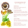 Tac - The Ayurveda Co. Triphala & Yashtimadhu Face Serum - 30 Ml